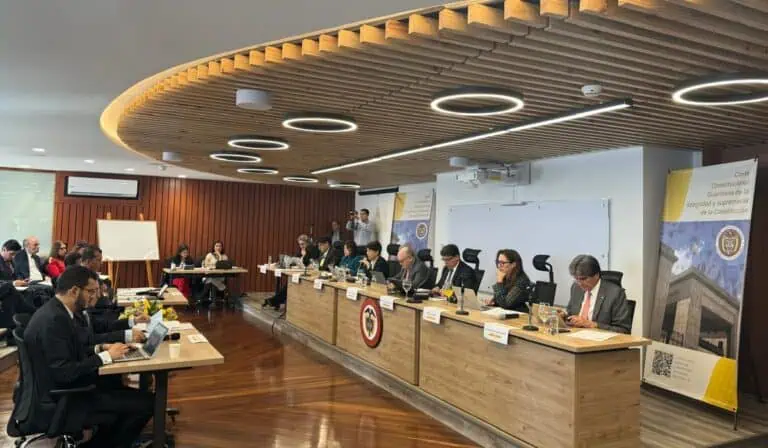 Corte Constitucional