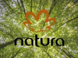 Natura &Co registró una alza de 12% en sus ingresos al cierre de 2024
