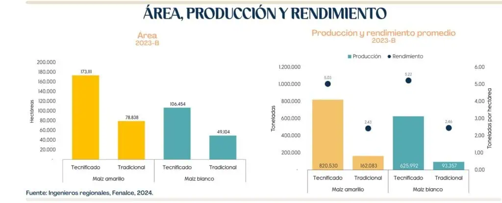 Fenalce pide apoyos para producción de maíz y soya en Colombia Fenalce