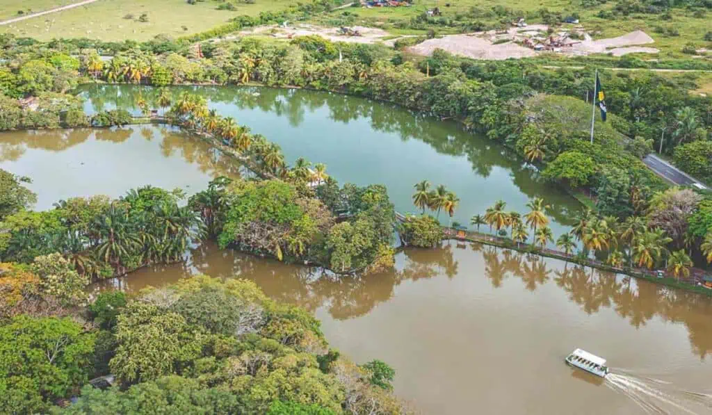 Las iniciativas de Colsubsidio por un futuro más verde y próspero Colsubsidio