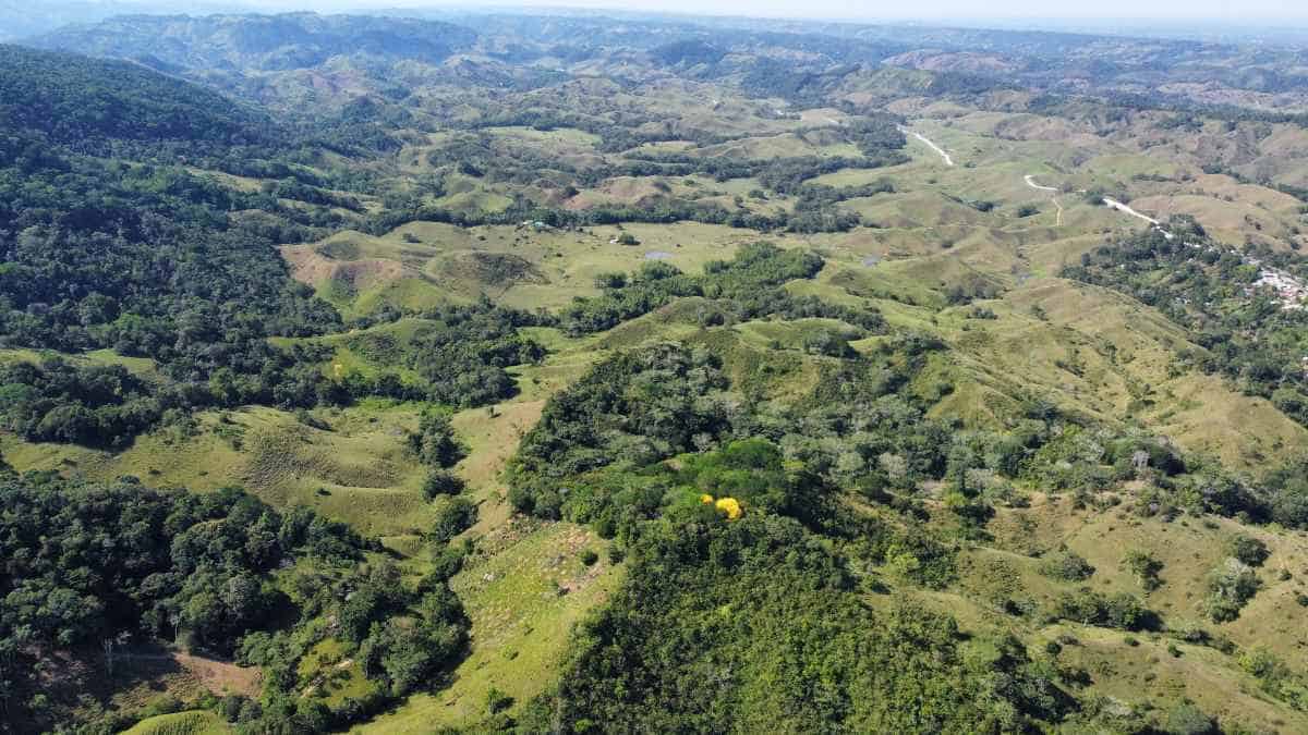 La Fundación Grupo Argos se une al Día Mundial del Medio Ambiente