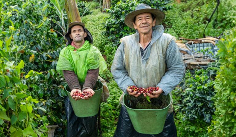 El plan de reactivación económica.