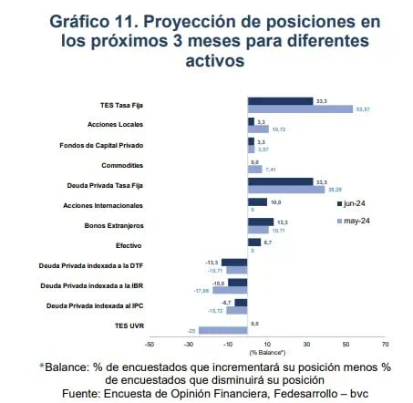 Estas fueron las preferencias de los inversionistas en Colombia en junio Proyecciones inversionistas. Foto: Fedesarrollo.