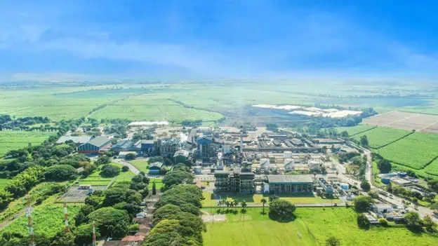 Providencia logra autosostenibilidad energética y exportó a 28 mercados en 2023 Azúcar Providencia.