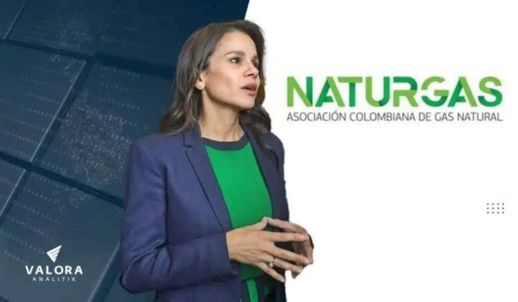 Opinión | Oferta de gas local se debe complementar con fuentes externas Opinión | Oferta de gas local se debe complementar con fuentes externas