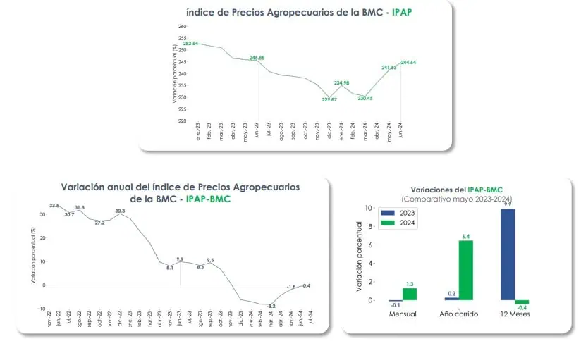 Precios agropecuarios en Colombia tuvieron leve caída en junio Precios del agro. Foto: BMC