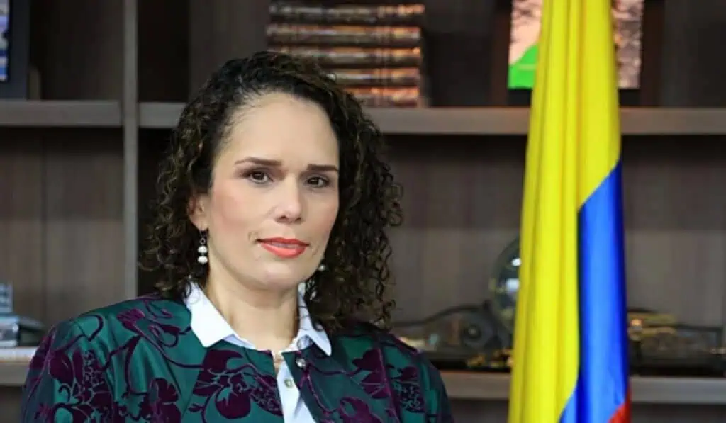 Gobierno anuncia diálogo con concesionarios tras mayores alzas en tarifas de peajes MinTransporte, María Constanza García