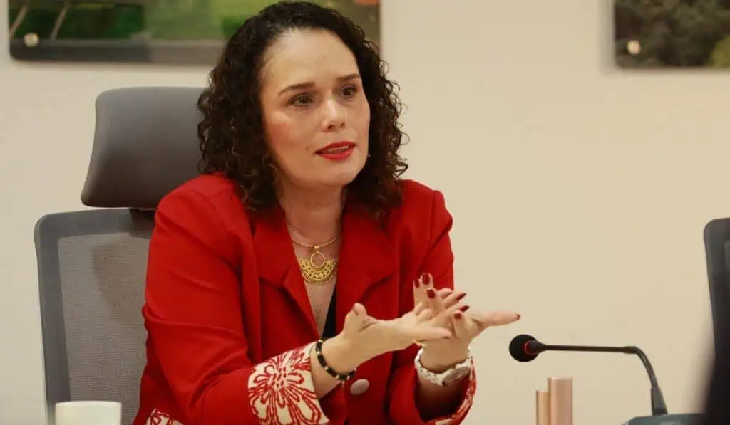 Gobierno Petro cree que metro de Bogotá necesitará hasta cinco líneas Ministra de Transporte, María Constanza García