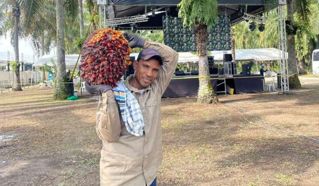 Los retos en materia de sostenibilidad que ha superado Palmas del Cesar Palmas del Cesar