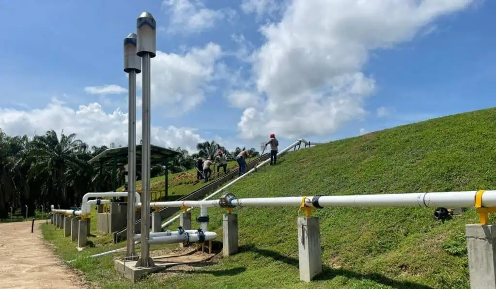 Palmas del Cesar busca generar bonos de carbón con su planta de energía en San Martín Séptimo Encuentro de Palmicultores Aliados a Palmas del Cesa