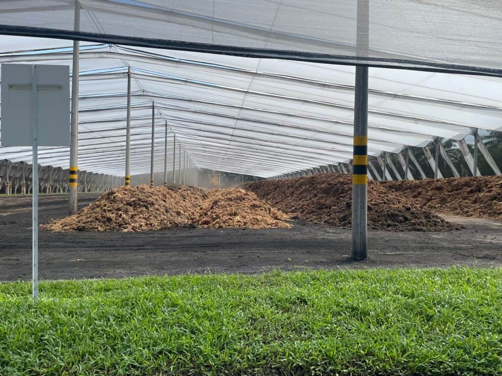 Así luce la planta de biocompost.
