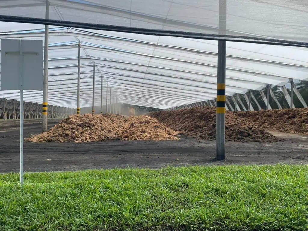 Así funciona la apuesta por la sostenibilidad de Palmas del Cesar mediante el compost Así luce la planta de biocompost.