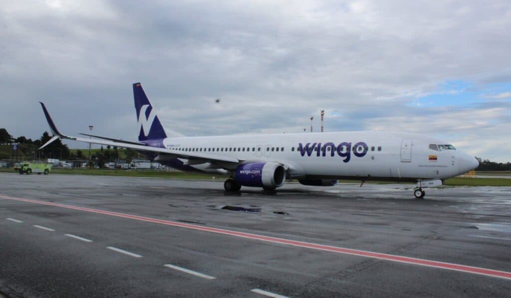 Wingo
