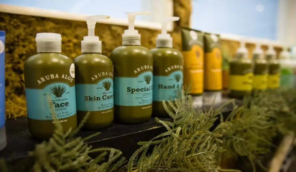 El Efecto Aruba: ¿por qué los colombianos prefieren esta isla como su favorita en el Caribe? Aloe vera en Aruba
