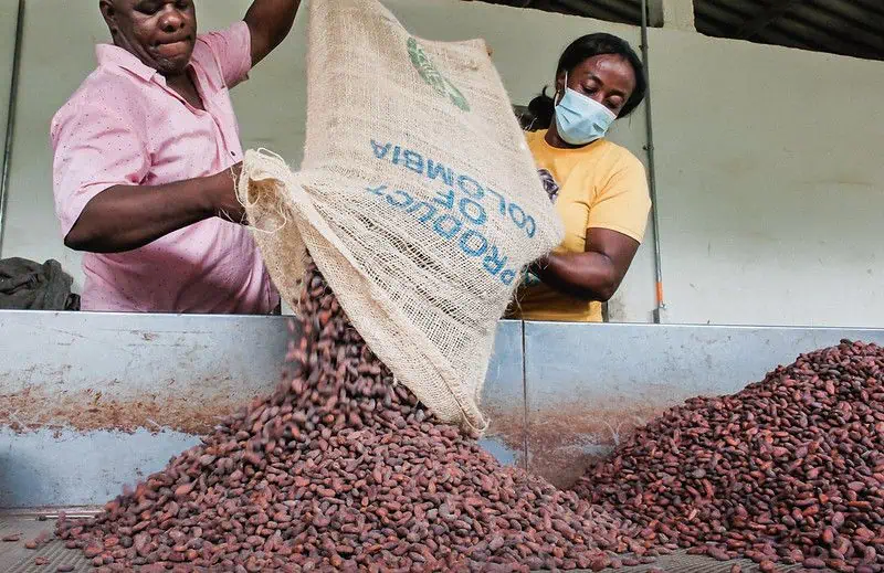 Desde este año bajarán las semanas que deben cotizar las mujeres en Colombia para pensionarse semanas que deben cotizar las mujeres en Colombia para pensionarse