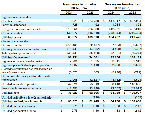Tecnoglass reporta los segundos mejores ingresos históricos impulsados por sector residencial en EE. UU. Utilidad neta de Tecnoglass cayó 33,3 % en segundo trimestre de 2024