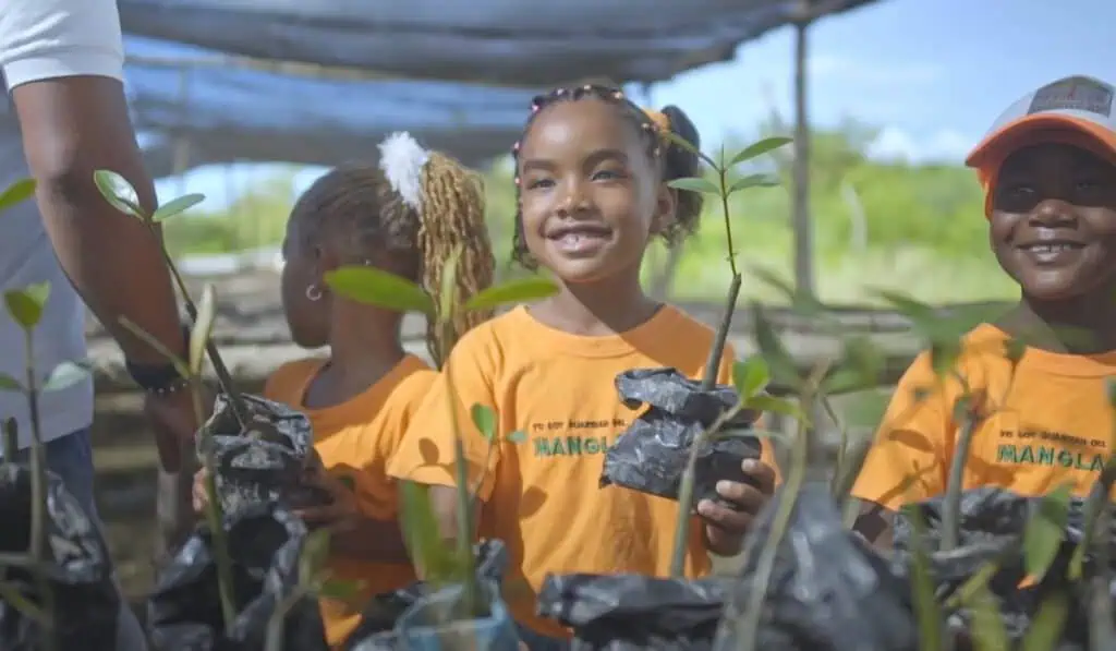 10 años de Verde Vivo, el programa de educación ambiental de la Fundación Grupo Argos Verde Vivo, programa de Grupo Argos.