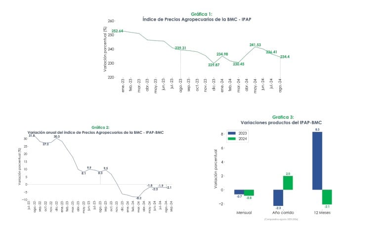 Precios de los insumos para el agro. Foto: BMC