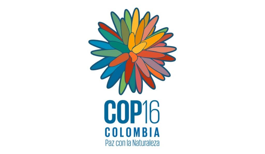 COP16