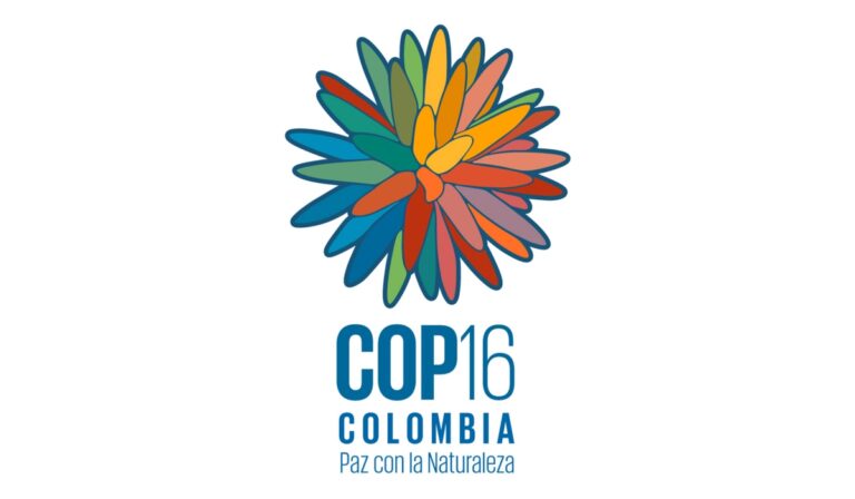 COP16