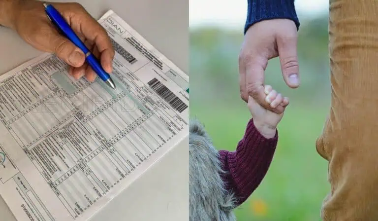 declaración de renta