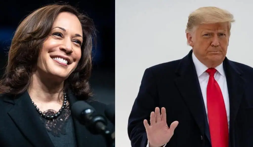 Acciones de Trump Media cayeron más del 15 % después del debate presidencial contra Harris Donald Trump gana Elecciones en Estados Unidos: más de 78 millones de personas han votado de forma anticipada