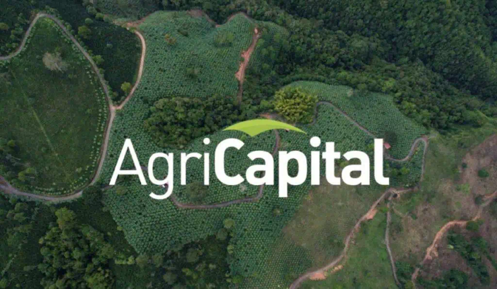 AgriCapital levantó US$7,4 millones para impulsar el sector agrícola en Colombia AgriCapital