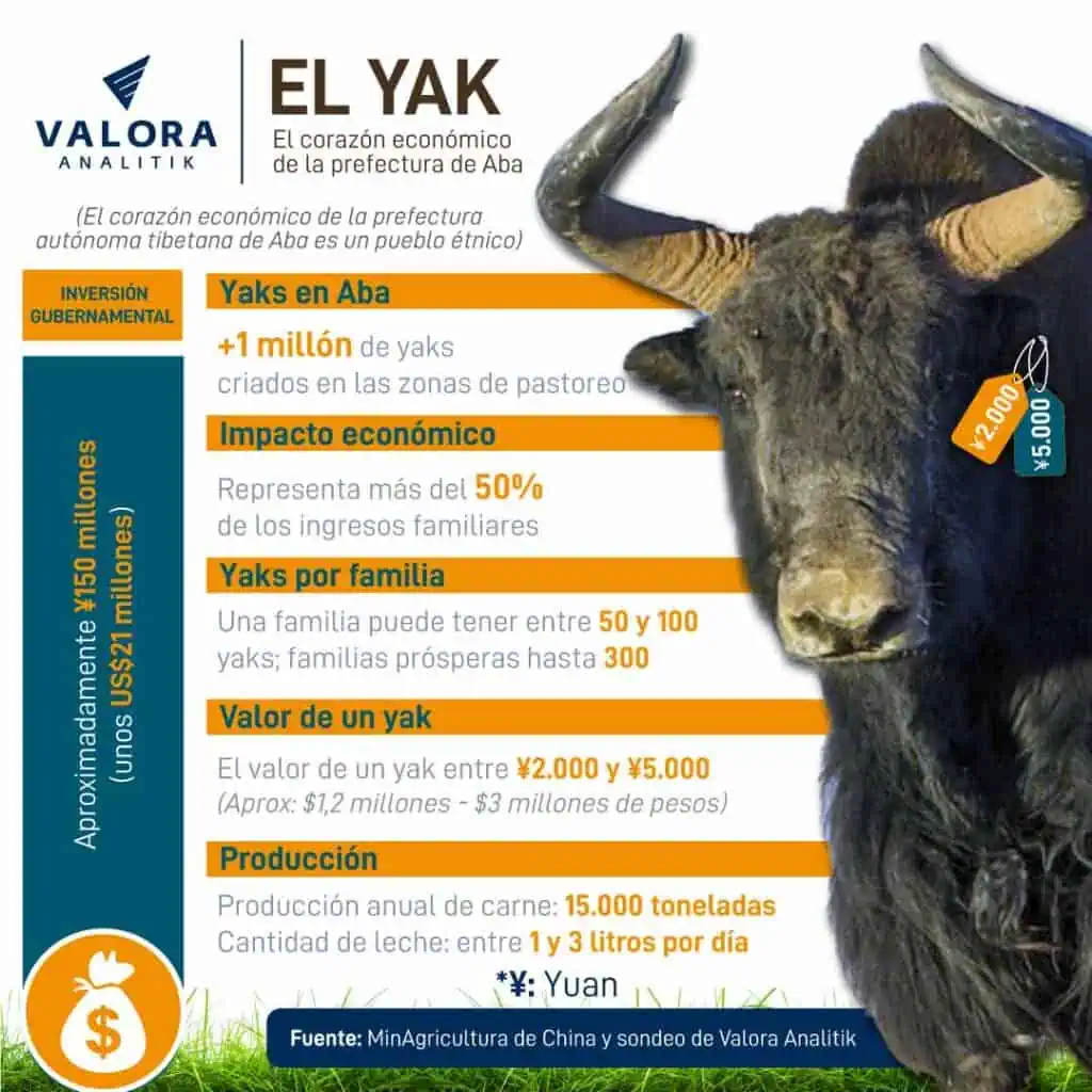 El yak, el corazón económico de la prefectura autónoma tibetana de Aba La economía a partir del Yak