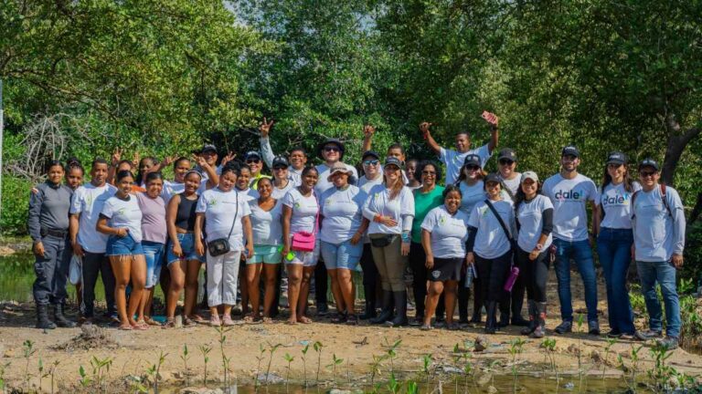 Manglares: Guardianes que renacen en las costas colombianas