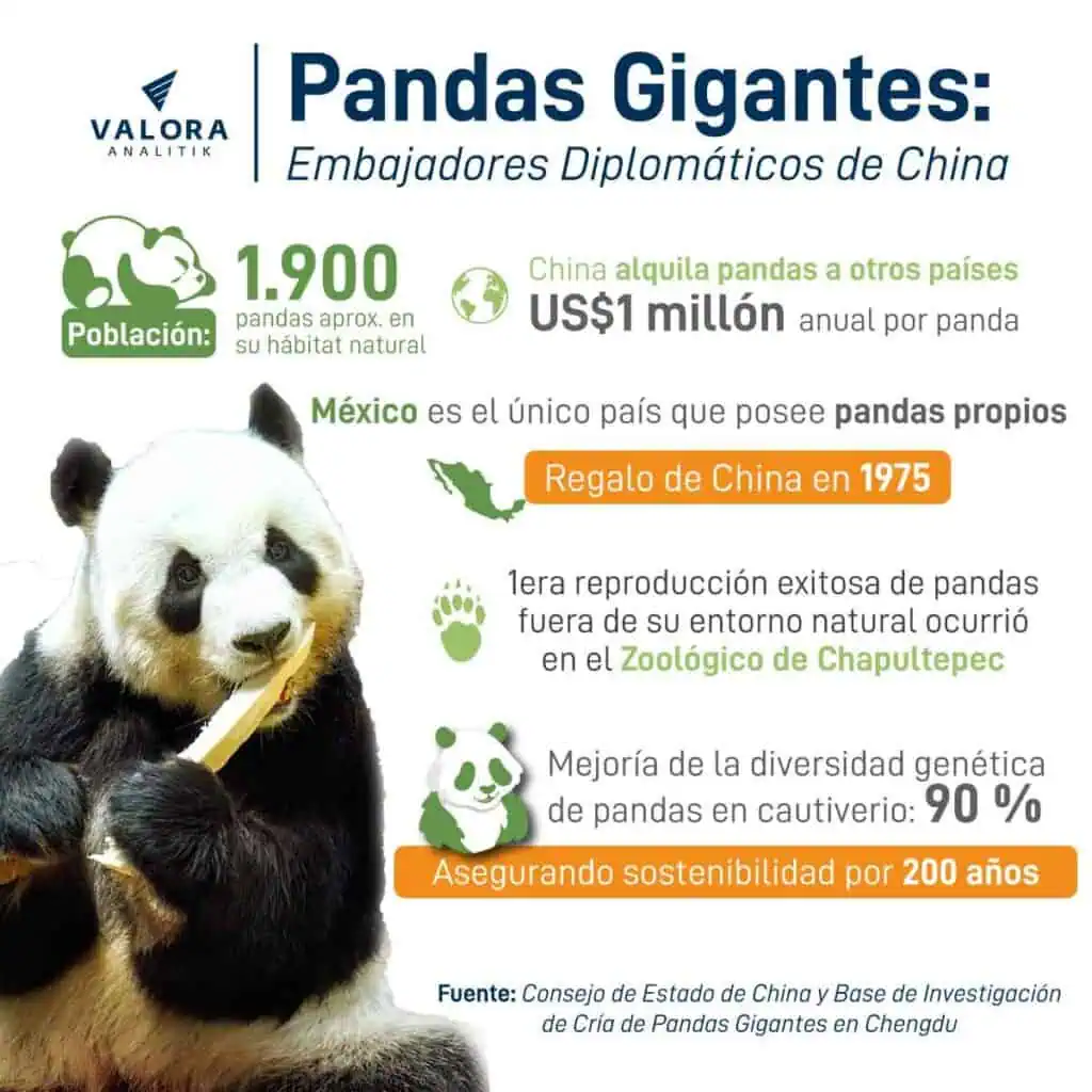 La figura diplomática que representan los pandas gigantes para China La figura diplomática que hay detrás de un préstamo de osos panda por parte de China.