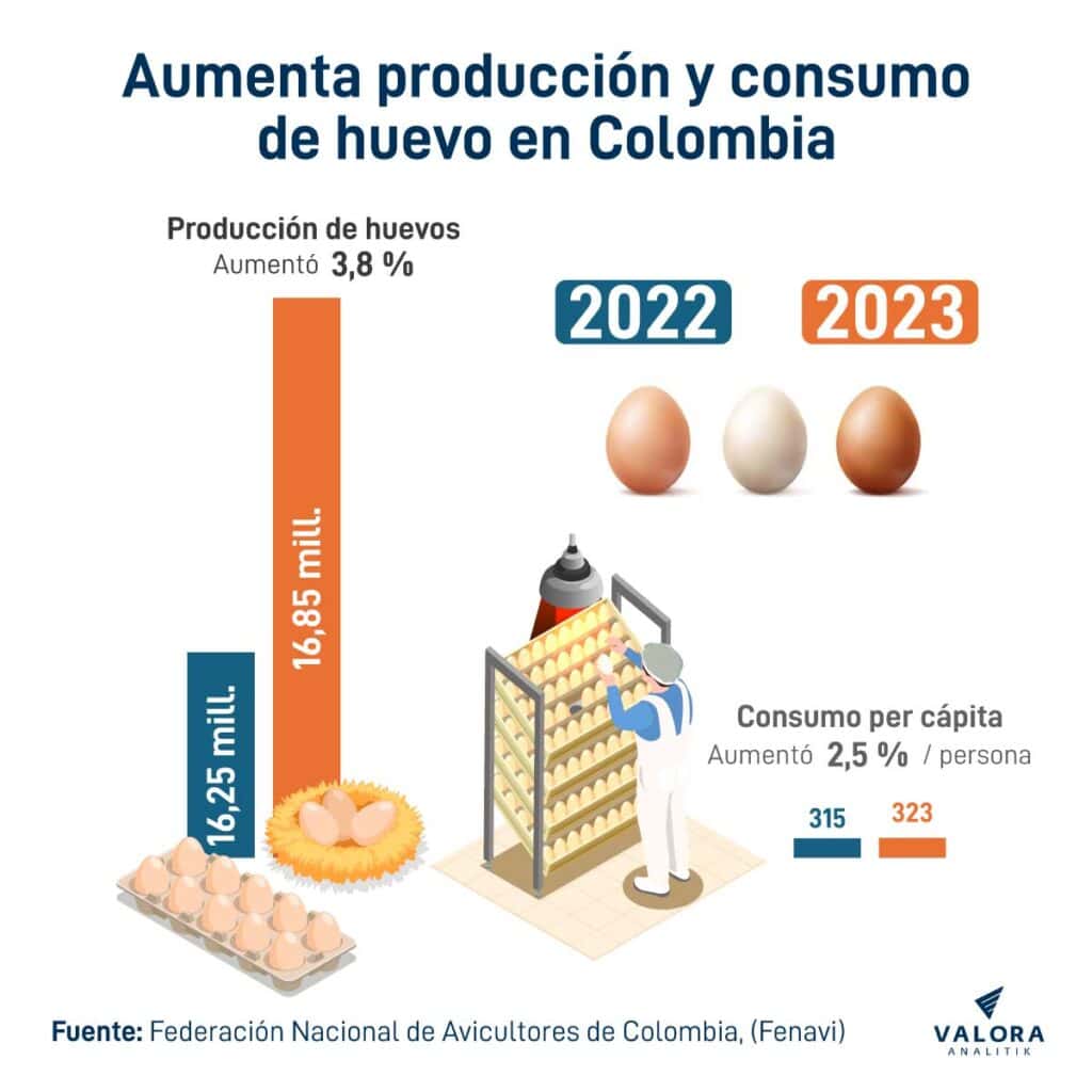 Producción de huevo en Colombia aumentó un 3,8 % en 2023; consumo incrementó un 2,5 %