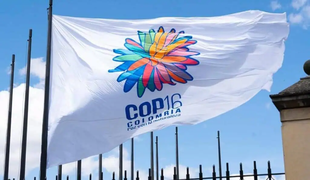 Gobierno Petro dice que la COP16 superó todos los pronósticos: Esto se logró Gobierno Petro dice que la COP16 superó todos los pronósticos: Esto se logró