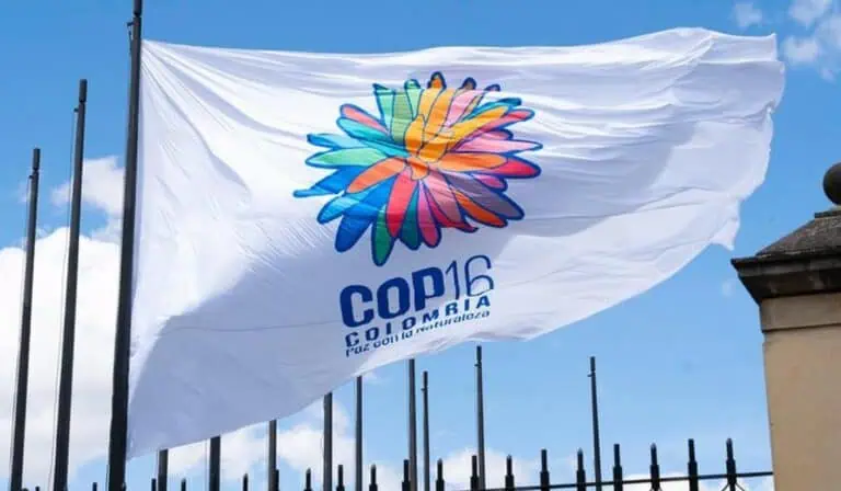 Gobierno Petro dice que la COP16 superó todos los pronósticos: Esto se logró Gobierno Petro dice que la COP16 superó todos los pronósticos: Esto se logró