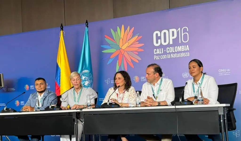 Gobierno Petro cofinanciará megaproyecto de Tren de Cercanías del Valle del Cauca Gobierno Petro cofinanciará megaproyecto de Tren de Cercanías del Valle del Cauca