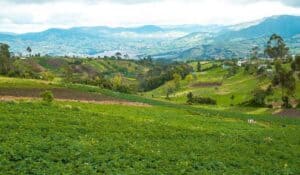 Fenómeno de El Niño aumentará el precio de los alimentos