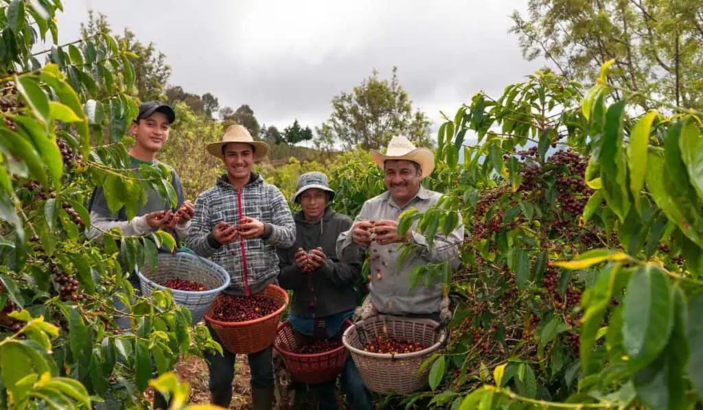 Banco de Bogotá renueva alianza con la Federación Nacional de Cafeteros para entregar facilidades a cafeteros Cafeteros en Colombia y el Banco de Bogotá