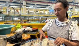 salario mínimo en Colombia