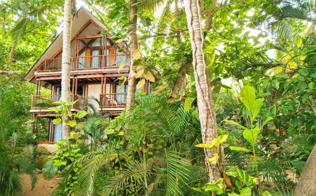 Masaya Tayrona, el nuevo hostel & beach club para parejas y nómadas digitales en el Caribe colombiano Masaya Tayrona