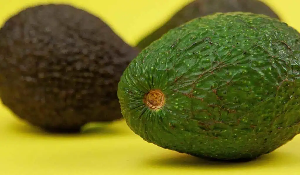 Colombia tendría récord en exportación de aguacate hass para Super Bowl 2025 Más de 6.000 toneladas exportaría Colombia al Super Bowl 2025. Foto: Pexels