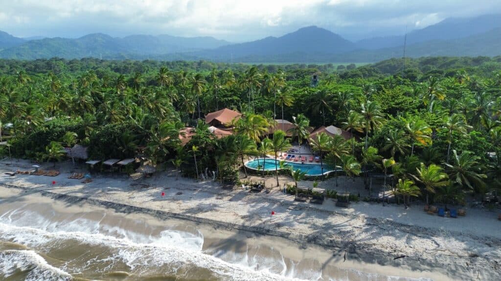 Masaya Tayrona