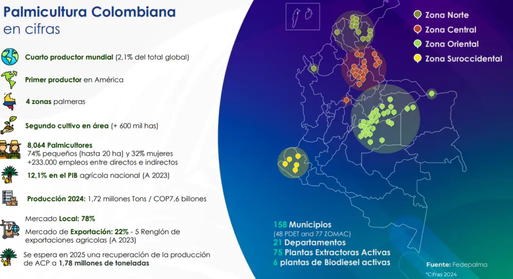 Producción de aceite de palma en Colombia cayó 6,6 % en 2024 por fuertes sequías Palmicultura