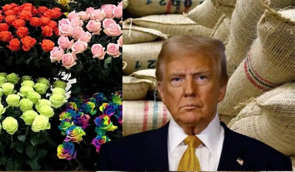 Así habría sido el impacto en el agro de los aranceles de Trump a Colombia Trump Aranceles de Trump a Colombia