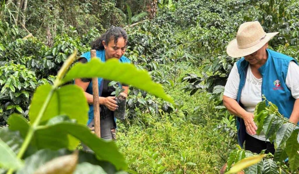 Exportaciones del agro colombiano