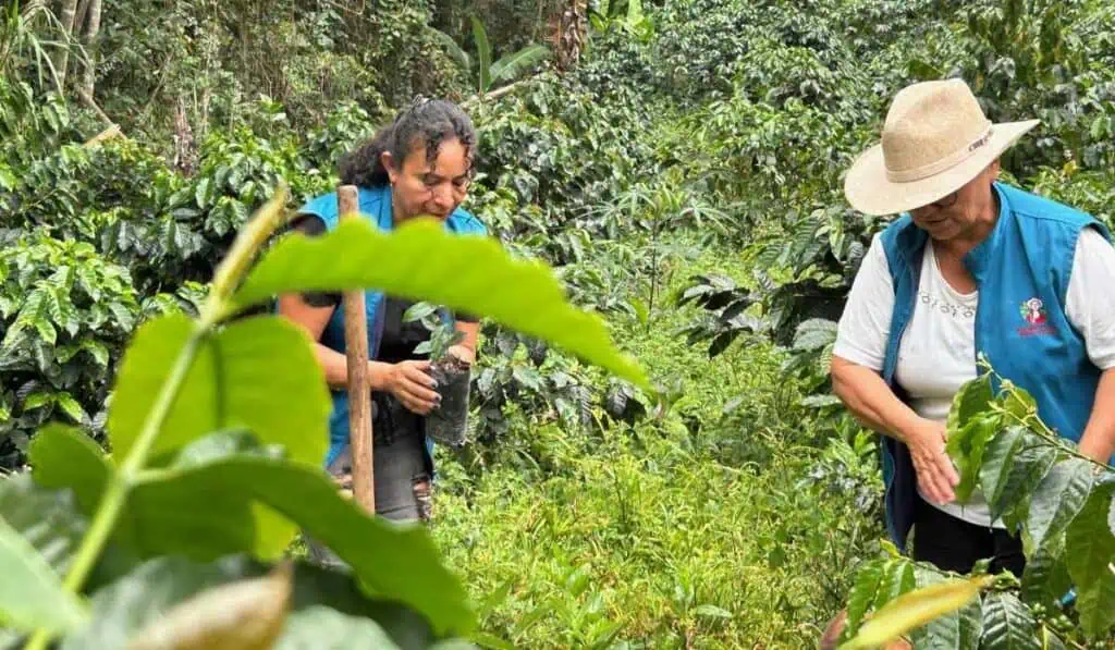 Además de aranceles de Trump, ¿qué otros retos tienen las exportaciones del agro colombiano hacia EE. UU.? Exportaciones del agro colombiano