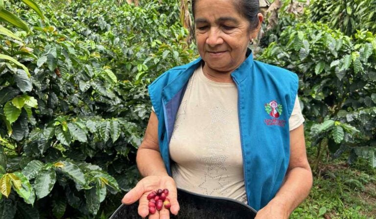 Producción de café en Colombia