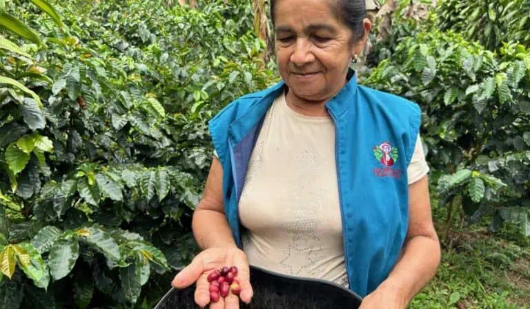 Producción de café en Colombia