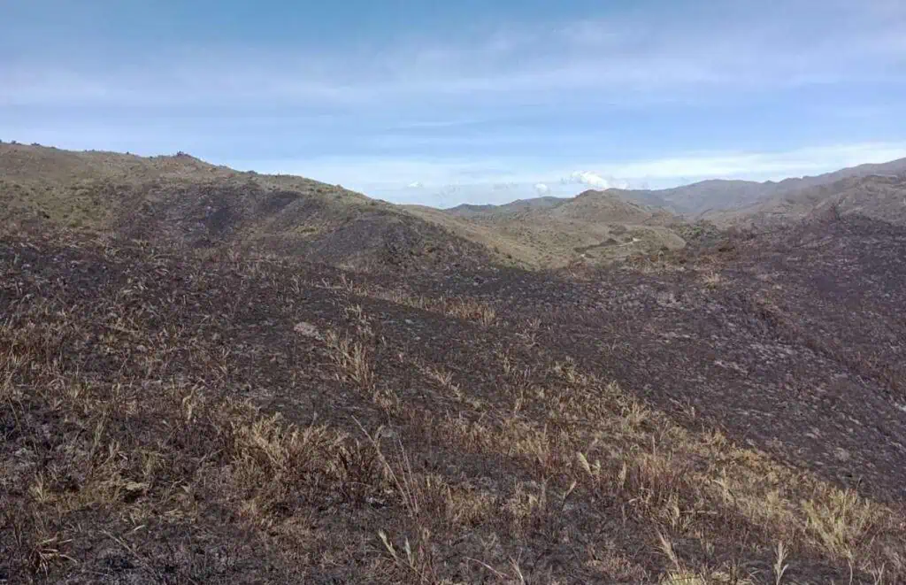 Controlado incendio forestal en el Parque Nacional Chingaza: 147 hectáreas afectadas Controlado incendio forestal en el Parque Nacional Chingaza: 147 hectáreas afectadas