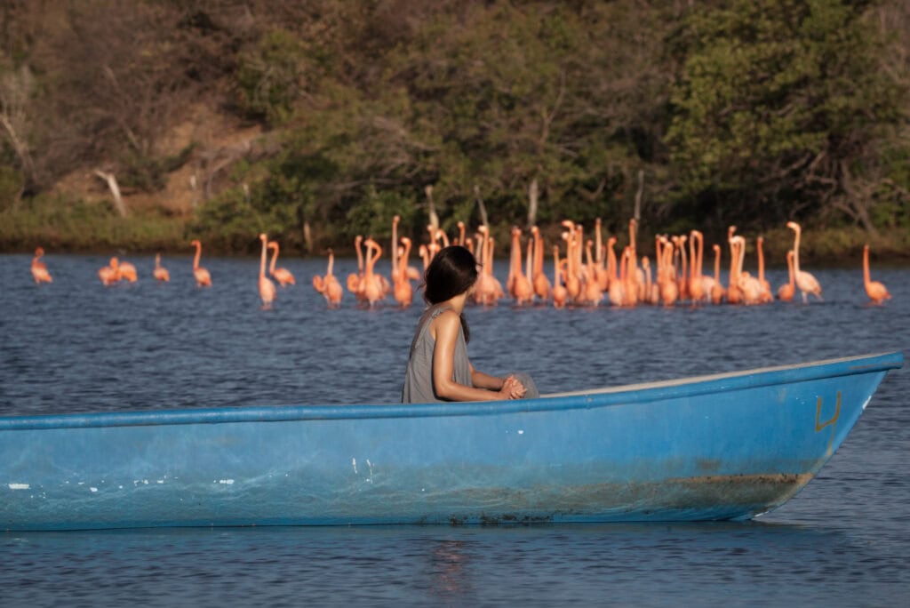 
La Guajira. Foto: cortesía Gobernación de La Guajira.