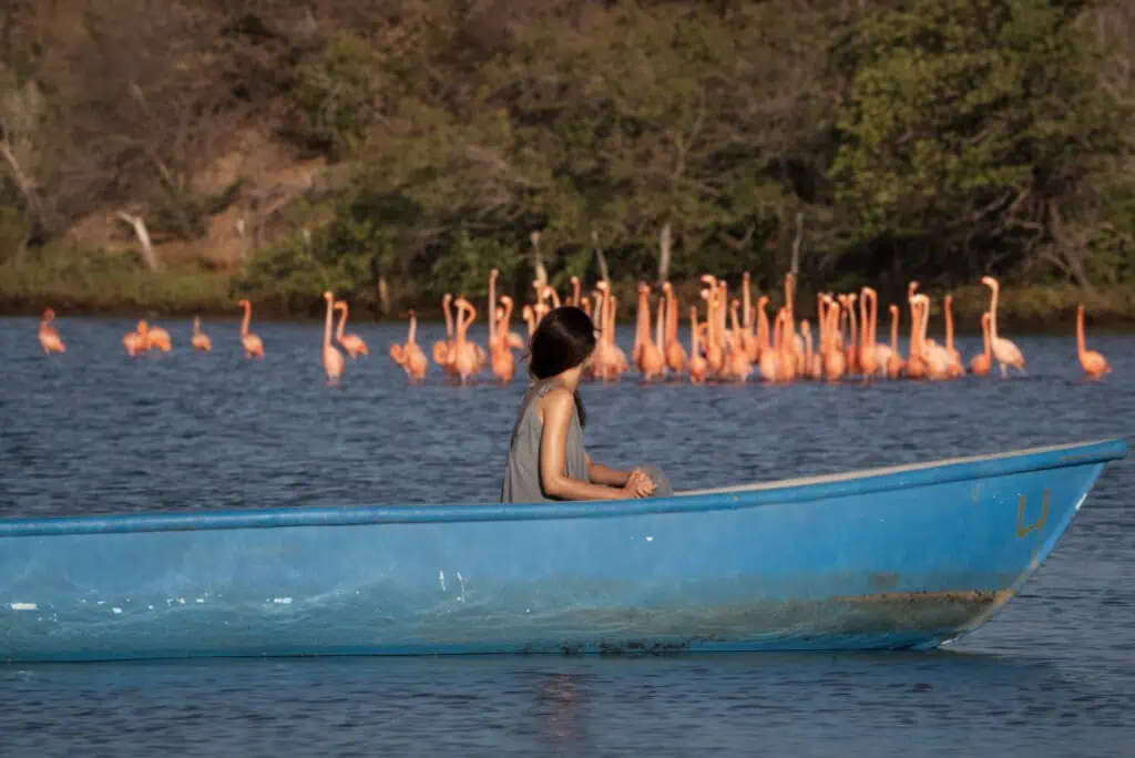 La Guajira buscará negociar nuevas rutas aéreas internacionales en Anato 2025
La Guajira. Foto: cortesía Gobernación de La Guajira.
