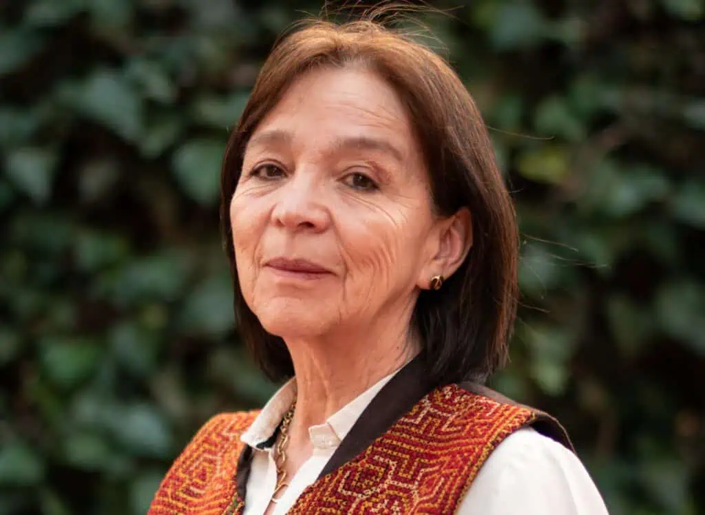 Presidente CARF: “Es la primera vez que damos un concepto negativo a las transacciones de única vez” Comité de Regla Fiscal